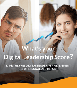 Digital Leadership Assessment | ©️ Storyals
